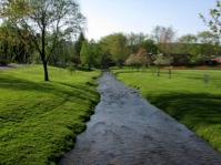 Stream in springtime