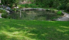 Pond