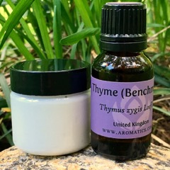 thyme-benchmark