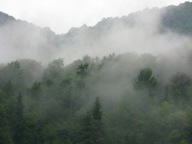 Mountain mist